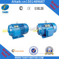 High Output Electric Motor with Differenct Color (Y160M-4)